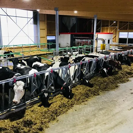 Burglehnerhof Aparthotel Ramsau am Dachstein