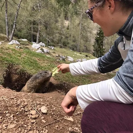 Burglehnerhof 3* Ramsau am Dachstein