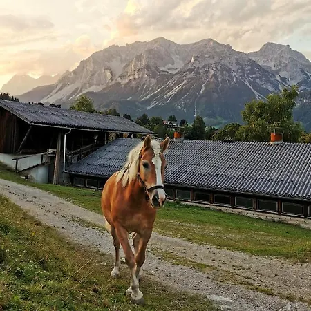 Apart-hotel Burglehnerhof