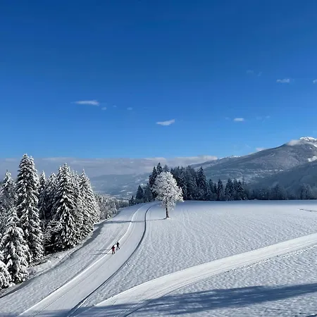 Burglehnerhof * Ramsau am Dachstein