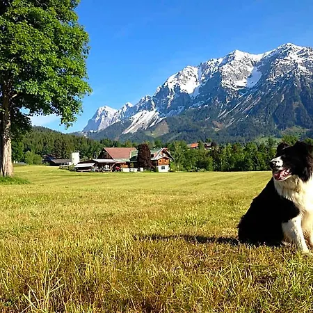 Apart-hotel Burglehnerhof Ramsau am Dachstein