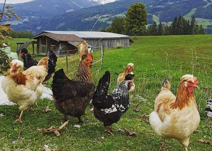 Aparthotel Burglehnerhof 3*