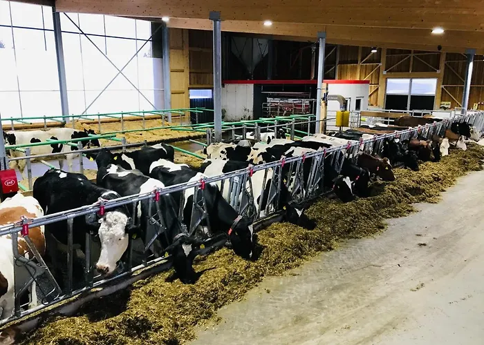 Burglehnerhof Aparthotel Ramsau am Dachstein